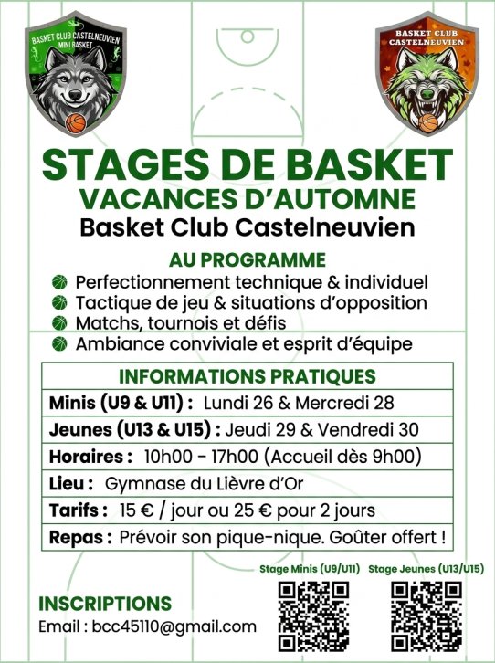 Stage d'Automne 100% Basket